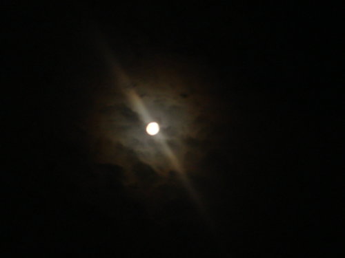 dsc00827.jpg