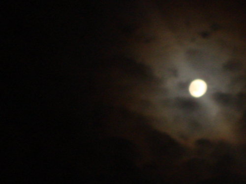 dsc00828.jpg