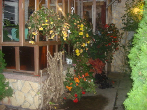 dsc00830.jpg