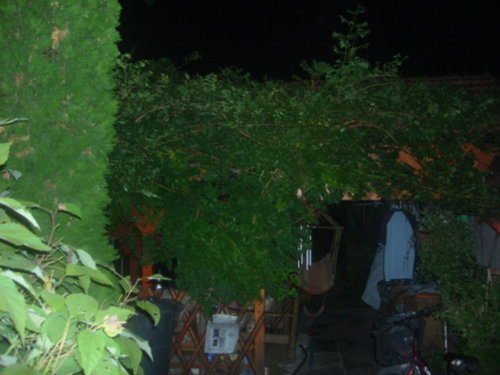dsc00834.jpg