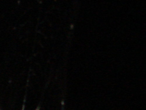 dsc00838.jpg