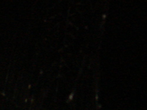 dsc00842.jpg