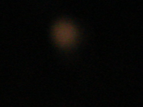 dsc00847.jpg