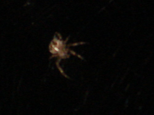dsc00848.jpg