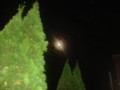 dsc00817.jpg