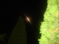 dsc00818.jpg