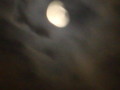 dsc00819.jpg