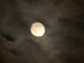 dsc00820.jpg