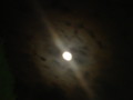 dsc00821.jpg