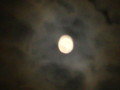 dsc00822.jpg