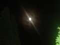 dsc00823.jpg