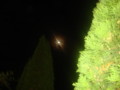 dsc00824.jpg