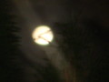 dsc00825.jpg
