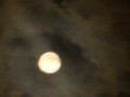 dsc00826.jpg