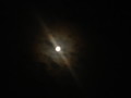 dsc00827.jpg