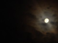 dsc00828.jpg