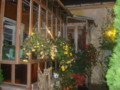 dsc00829.jpg