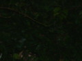 dsc00833.jpg