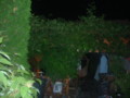 dsc00834.jpg