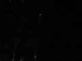 dsc00838.jpg