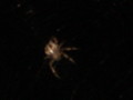 dsc00843.jpg