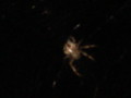 dsc00846.jpg