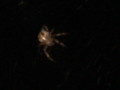 dsc00848.jpg
