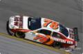 nascarcup_2008_day_eg_0610.jpg