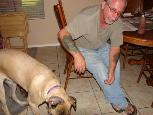 dogs_002.jpg