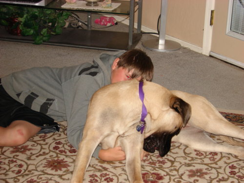 dogs_009.jpg