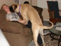 dogs_001.jpg