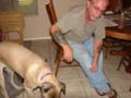 dogs_002.jpg