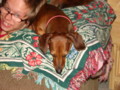 dogs_004.jpg