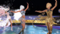 fsefe_005_copy.jpg