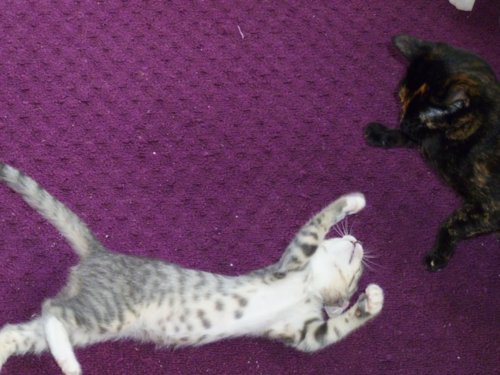 p1000202_copy.jpg