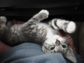 p1000143.jpg