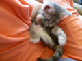 p1000151.jpg