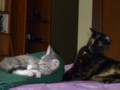 p1000171_copy.jpg