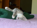 p1000198.jpg