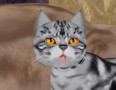 adadsads_002.jpg