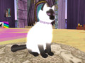 dsdsds_018.jpg