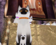 dsfdsfdsfsdf_012.jpg