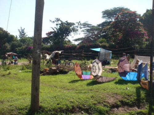dsc00506.jpg