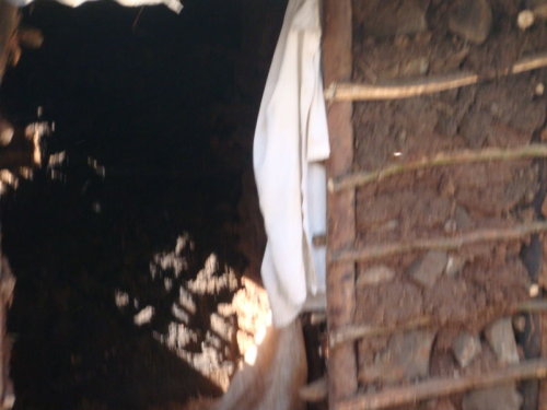 dsc00535.jpg