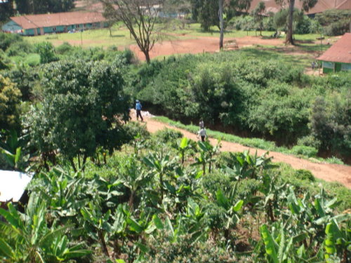 dsc00556.jpg