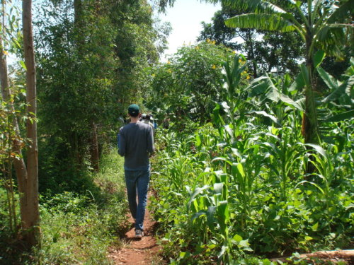 dsc00660.jpg