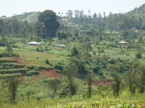 dsc00667.jpg