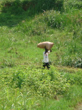 dsc00680.jpg