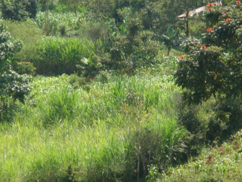 dsc00682.jpg