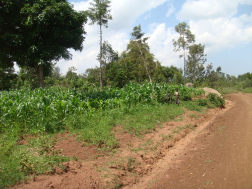 dsc00694.jpg